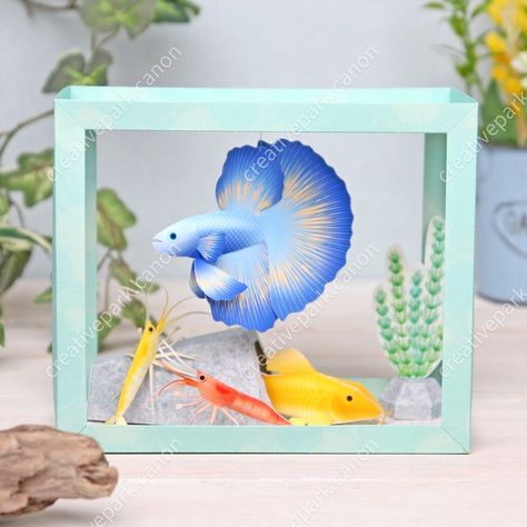 Betta (Freshwater fish) - Paper Aquarium - Animals - Paper Craft - Canon Creative Park Paper Aquarium, Fish Paper Craft, Ryukin Goldfish, Red Cherry Shrimp, Paper Fish, Types Of Fish, Diy Crafts For Kids Easy, Marine Animals, Freshwater Fish