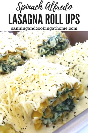 These meatless spinach lasagna noodle roll ups are perfectly paired with Homemade Alfredo Sauce.  It was a hit at our most recent dinner party.  I love Alfredo Sauce that is not from a jar!... Chicken Alfredo Lasagna Roll Ups Spinach, Alfredo Lasagna Vegetarian, Spinach Ricotta Roll Ups, Vegetarian Alfredo Lasagna, Lasagna Alfredo Roll Ups, Turkey Lasagna Roll Ups, White Lasagna Roll Ups, Meatless Lasagna Roll Ups, Recipes With Lasagna Sheets