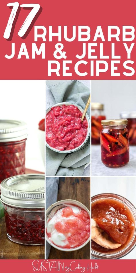 We hope this round up of delicious rhubarb jam, jelly, syrup and sauce recipes will inspire you to preserve your fresh rhubarb this season. 17 creative recipes to choose from! #sustainmycookinghabit Rhubarb Jalapeno Jam, Rhubarb Jam Recipes With Jello, Refrigerator Rhubarb Jam, Rhubarb Jam No Pectin, Strawberry Rhubarb Jalapeno Jam, Rhubarb Preserves, Rhubarb Jelly Or Jam, Rhubarb Jelly, Rhubarb Jam Recipes