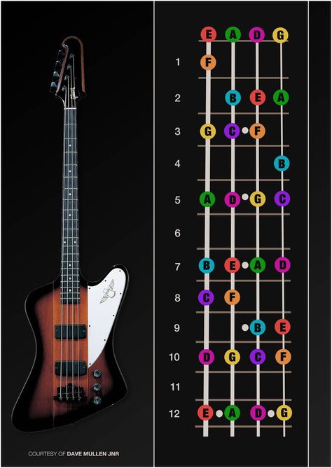 Bass Guitar Scales, Bass Guitar Notes, Learn Bass Guitar, Bass Guitar Chords, Akordy Gitarowe, Music Theory Guitar, Guitar Notes, Bass Guitar Lessons, Guitar Fretboard