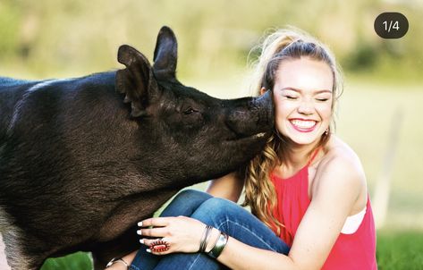 Livestock Photography Senior Pics, Senior Pictures With Pigs, Show Pig Senior Pictures, Livestock Pictures, Ffa Pictures, Pig Photography, Picture Ideas Senior, Livestock Photography, Pig Pics