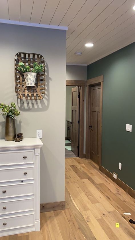 Sherwin Williams Pewter Green, Fawn Brindle, Gray Basement, Basement Colors, Basement Paint Colors, Pewter Green, Basement Makeover, Room Curtains, Paint Colors For Living Room