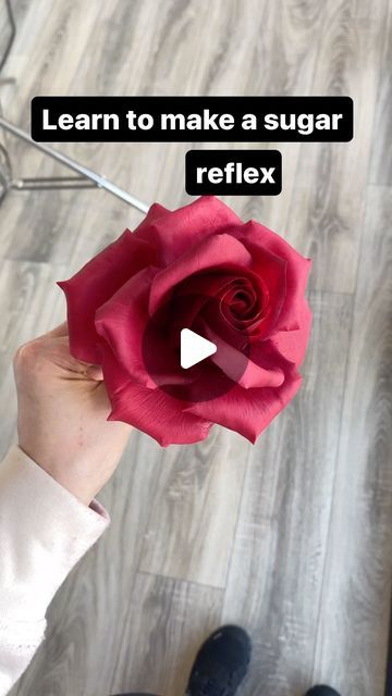 Suzanne Esper | Sugar Flower + Cake tutor | Mentor on Instagram: "Learn to make stunning sugar reflex roses ❤️  Check bio fir more info and classes   #sugarflowers #onlineclass #sugarrose #suzanneespercakeschool" Reflex Roses, Sugar Flower Cake, Sugar Flowers Cake, Sugar Flowers Tutorial, Sugar Rose, Sugar Flowers, Flower Tutorial, Flower Cake, May 11