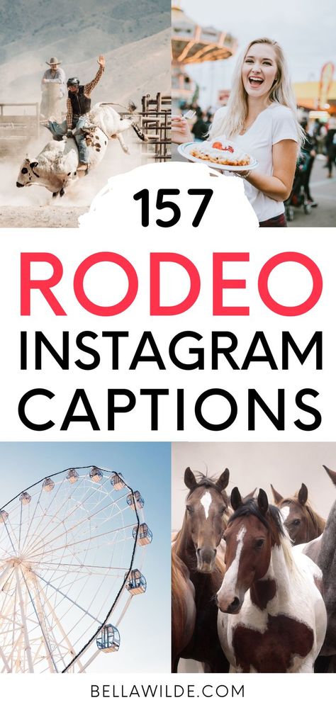 Western Selfie Captions, Rodeo Quotes Funny, Short Cowgirl Quotes, Cow Instagram Captions, Cowgirl Insta Captions, Rodeo Quotes Instagram, Stagecoach Captions, Cow Captions For Instagram, Rodeo Instagram Captions