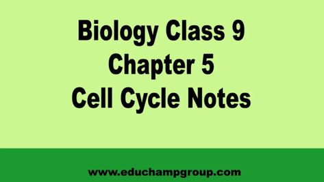 Biology Class 9 Chapter 5 Cell Cycle Notes 2 Cell Cycle Notes, Asexual Reproduction In Plants, Education Notes, What Is Cell, Nuclear Membrane, Somatic Cell, Vegetative Reproduction, Eukaryotic Cell, Dna Replication