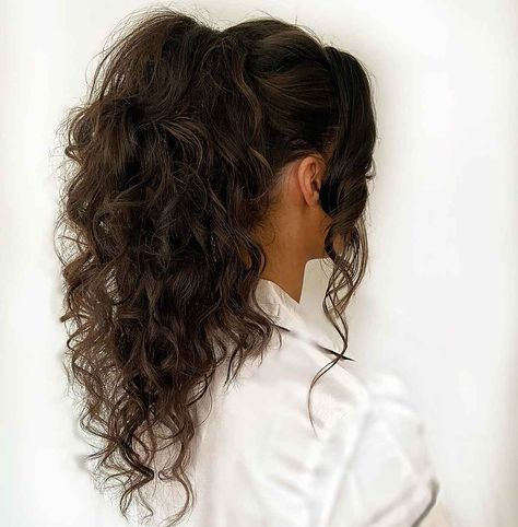 22 Examples of the Best High Ponytail Ideas You'll Ever See Curled Hair High Ponytail, Long Curly Hairstyles Ponytail, Messy Wavy Ponytail Hairstyles, Ponytail Style For Wedding, High Ponytail Hairstyles For Prom Curls, Curly Hair Formal Ponytail, Curly Wavy Ponytail, Not Boring Ponytail, Messy High Ponytails Curly Hair