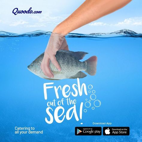 Fish Advertising Design, Meat Ads Creative, Seafood Creative Ads, Seafood Social Media Design, Fish Poster Design, Fresh Fish Packaging, Seafood Design, Fish Banner, Food Mockup