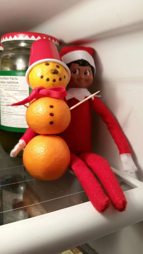 Elf On The Shelf Fall Ideas, Elf On The Shelf Ideas Oranges, Elf With Oranges, Elf On The Shelf Holding Ideas, Elf Fridge Ideas, Elf Ideas For Multiple Elves, Elf Banana Ideas, Elf On The Shelf Oranges, Elf In Fridge Ideas