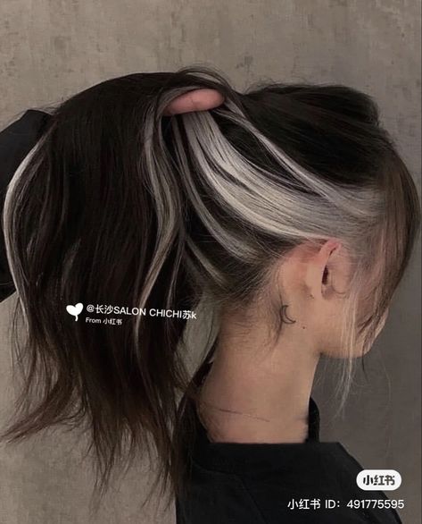 Silver Hair Underneath Brown, Goth Hair Highlights, White And Brunette Hair, Single Blonde Streak, Dark Hair With Silver Underneath, Brunette Hair With White Streak, Dark Brown Hair With White Money Piece, Silver Hair Streak, Peekaboo Hair Color Straight