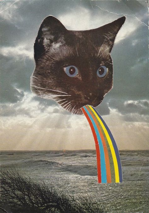 Cat Throwing Up, Trippy Cat, Nyan Cat, Rainbow Cat, Space Cat, Art Pop, Trippy Art, Art Plastique, Surreal Art