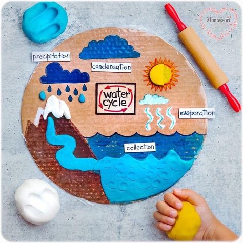 Water Cycle Craft, Water Cycle For Kids, Water Cycle Project, Water Cycle Activities, Learn Science, Montessori Geography, مشروعات العلوم, Science Experiments For Preschoolers, Kid Experiments