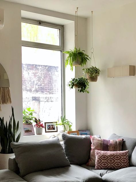 Hanging Plants Over Bed, Reading Nook Plants, Hanging Indoor Plants, Indoor Plant Wall, Plants Hanging, Room 2023, Window Plants, Creative Room, Hanging Plant Wall