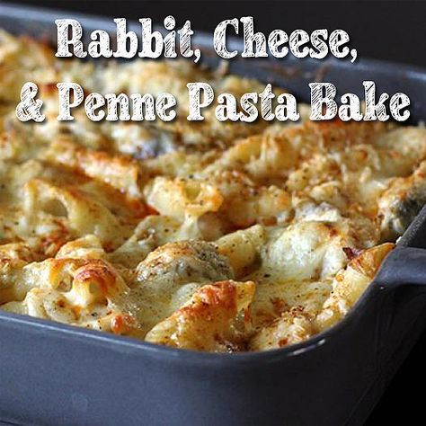 Rabbit Casserole Recipe, Rabbit Recipe Baked, Rabbit Processing, Easy Rabbit Recipe, Penne Bake, Braised Rabbit, Rabbit Recipe, Rabbit Recipes, Baked Penne Pasta