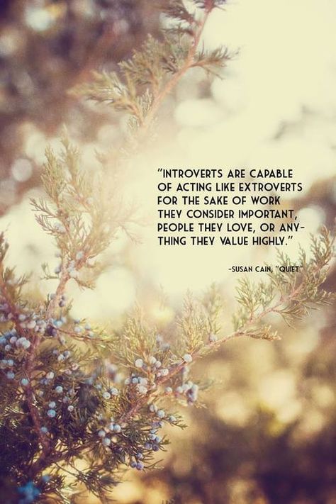 Intros may have to work harder at it, but we're not all anti-people. Susan Cain, Introverts Unite, Good Quotes, 2018 Calendar, The Lone Ranger, Infj Personality, Introverted, Intp, Intj