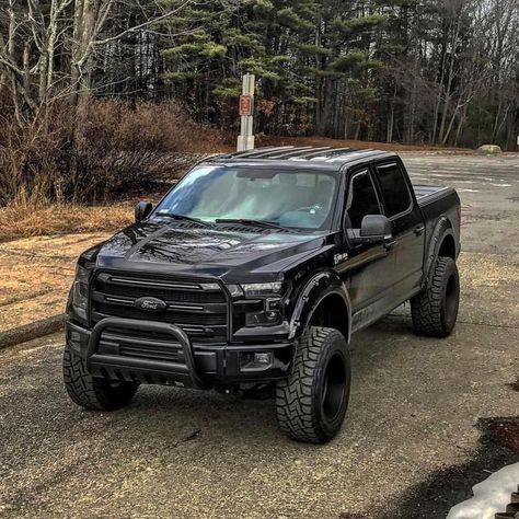 Ford F-150 Ford F150 Lifted, Ford F150 Custom, F150 Platinum, Ford F150 Fx4, Mobil Off Road, Jacked Up Truck, Fords 150, Truck Logo, Ford F150 Raptor