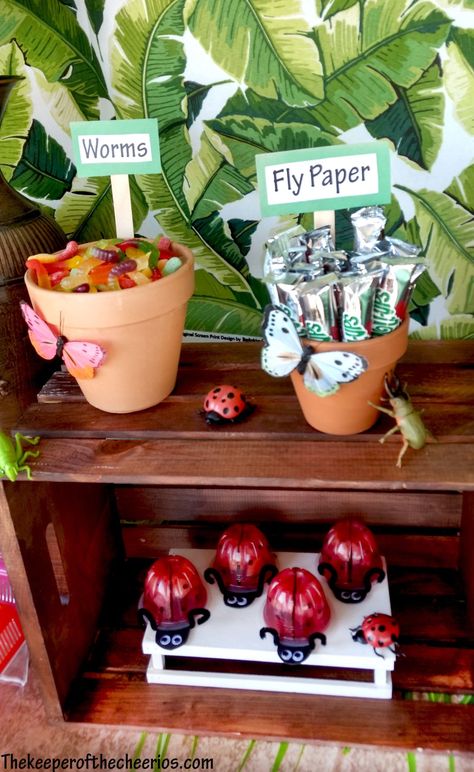 Bug Party Food, Bug Snacks, Reptile Party, Bug Party, Bugs Life, Toddler Birthday Party, Christening Party, Party Crafts, Fourth Birthday