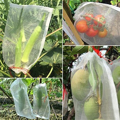 Bird Netting, Insect Netting, Garden Netting, Hanging Plants Indoor, Fruit Garden, Veggie Garden, Raised Garden, Hanging Plants, Fruit Trees