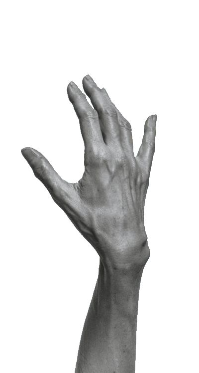 Cool Hand References, Hands Art Reference Photo, Hands Reference Anatomy, Hand Figure Drawing Reference, Masculine Hand Reference, Masculine Hands Reference, Hand Reference Black And White, Hand Reference Study, Hand Art Reference Photo