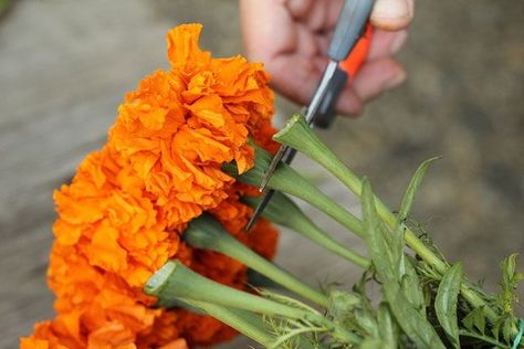 Be Prettier, How To Make Garland, Heather Taylor, Marigold Flower, Nothing But Flowers, Flower Garlands, Wedding Arch, Real Flowers, In Bloom