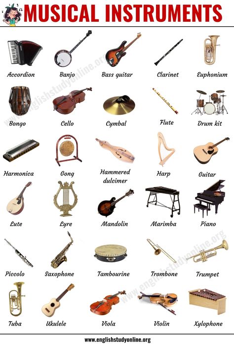 Musical Instruments: List of 30 Popular Types of Instruments in English - English Study Online Types Of Instruments, Music Vocabulary, अंग्रेजी व्याकरण, Tatabahasa Inggeris, Homemade Musical Instruments, Diy Musical Instruments, General Knowledge Facts, Learn English Vocabulary, English Vocabulary Words Learning