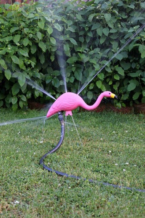 Fun Projects with Pink Plastic Flamingo Lawn Ornaments | Apartment Therapy Flamingo Projects, Pink Flamingo Decor, Yard Flamingos, Plastic Flamingo, Flamingo Garden, Flamingo Decor, Lawn Ornaments, Diy Outdoor Decor, Flamingo Art