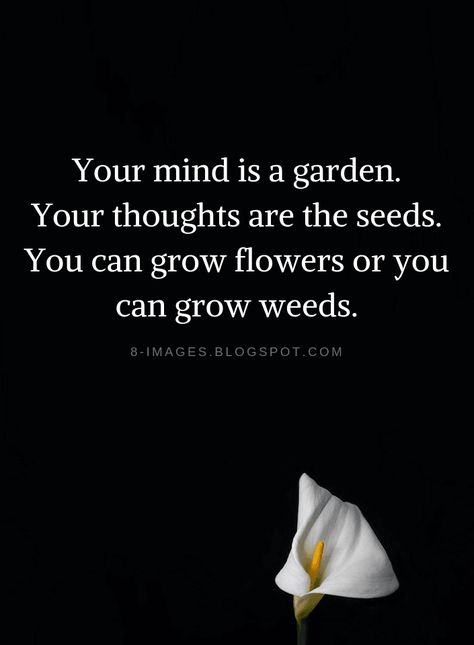 Quotes Your mind is a garden. Your thoughts are the seeds. You can grow flowers or you can grow weeds. Growing Spiritually Quotes, Planting Seeds Quotes, Seed Quotes, Your Mind Is A Garden, Mind Is A Garden, Growing Quotes, Grow Flowers, Plants Quotes, Garden Quotes