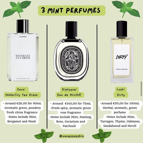 Perfume Suggestions, Zara Parfum, Fresh Perfume, Pampering Routine, Diy Lotion, Fragrances Perfume Woman, Citrus Fragrance, Rose Fragrance, Perfume Scents