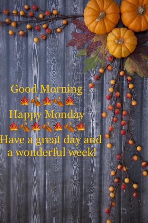 Monday Fall Morning Quotes, Fall Monday Morning Quotes, Fall Greetings, Monday Greetings, Good Morning Sunday Images, Inspirational Good Morning Messages, Good Monday Morning, Week Quotes, Happy Day Quotes