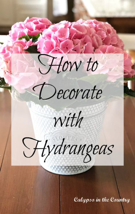 How to decorate with hydrangeas - Simple farmhouse style inspiration using a rustic galvanized bucket and a pink hydrangea plant.  Visit the blog to see the foyer table decorated for spring.  #decorating #decoratingwithhydrangeas #pinkhydrangeas #decoratingwithhydrangeasrustic #farmhousestyle Silk Hydrangea Arrangements, Decorating With Hydrangeas, Hydrangea Decor Home, Hydrangea Table Arrangements, Crock Ideas, Decorating With Pink, Hydrangea Decor, Hydrangea Plant, Hydrangea Potted