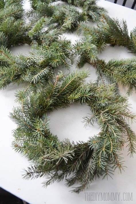 Make Real Evergreen Wreaths | The DIY Mommy How To Make A Wreath With Pine Branches, Make A Wreath From Branches, Evergreen Wreaths For Christmas Diy, Wreath From Tree Trimmings, Christmas Wreaths Diy Evergreen, Step By Step Diy Crafts, Live Christmas Wreaths, Evergreen Wreaths, Natural Wreaths