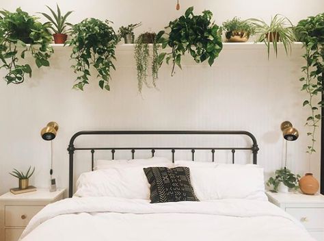 plant shelf will draw the eye upward -- mix fake with real! Long Shelf Above Bed, Grass Material, Shelf Above Bed, Bedroom Wall Decor Above Bed, Wall Decor Above Bed, Shelf Decor Bedroom, Decor Above Bed, Bed Wall Decor, Deco Studio