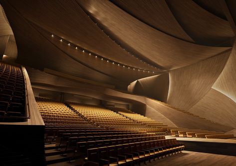 Auditorium Architecture, Acoustic Architecture, Concert Hall Architecture, Auditorium Design, Theater Architecture, University Architecture, Kengo Kuma, Architectural Competition, Zaha Hadid Architects