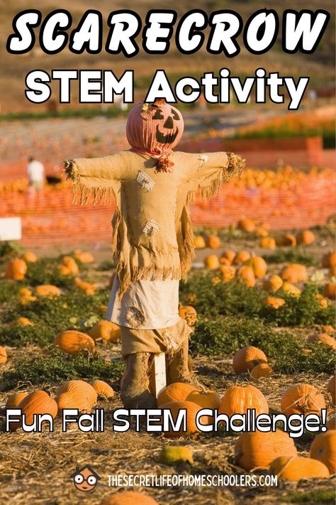 Scarecrows are a fun fall decoration, but they can also be a fun hands-on STEM activity. In this Scarecrow STEM activity, kids can have fun learning about scarecrows and how to build them. Do this STEM challenge in the spring to help keep birds away from newly planted seeds or in the fall to protect growing crops (or as a cute decotration). Library Scarecrow Ideas, Scarecrow Steam Activity, Autumn Stem Activities, Scarecrow Science Preschool, Scarecrow Science Activities, Scarecrow Games Preschool, Autumn Stem Activities For Kids, Scarecrow Stem Activity, Stem Fall Activities