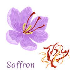 Saffron Illustration, Shrikhand Recipe, Saffron Flower, Saffron Threads, Design Label, Glitch Art, Event Promotion, Flat Style, Flower Illustration