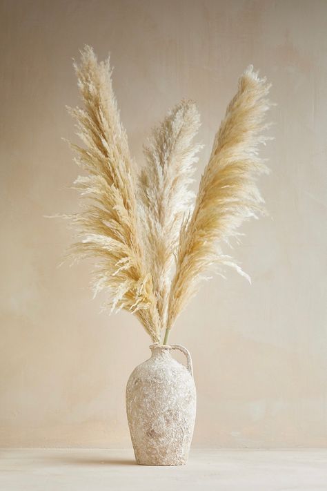 Fuego Dried Flower Set Dried Plant Decor, Deco Pampa Vase, Dry Plants Decoration, Pampas Grass Floor Vase, Vase Pampa, Pampas Grass Decor Living Room, Pampas Grass In Vase, Beige And Gold Living Room, Pampas Grass Centerpiece