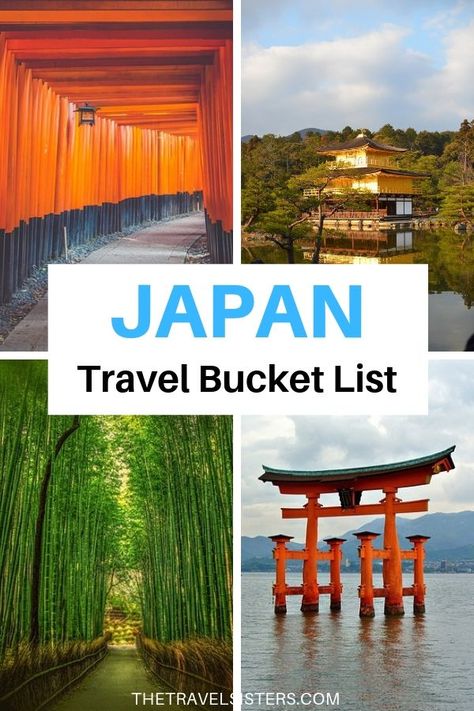 Visit Japan Bucket List, Tokyo Bucket List, Hitachi Seaside Park, Kyoto Itinerary, Japan Bucket List, Day Trips From Tokyo, Destination Travel, Seaside Park, Tokyo Japan Travel