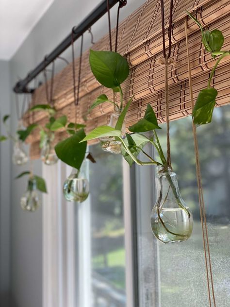 Diy Window Valance, Window Plant Shelf, Filled Vases, Plant Window, Window Plants, Indoor Window, White Sheer Curtains, Mobil Home, Diy Window