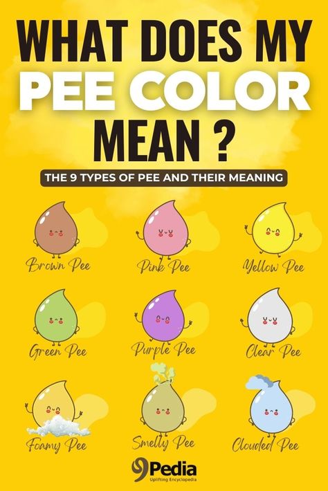 Cloudy Pee, Green Urine, Pee Color, Color Of Urine, Cloudy Urine, Pee Smell, Urine Smells, Cat Pee, Dog Pee