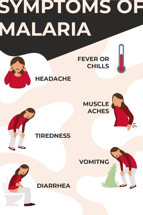 An graphic with six illustrations. Each illustration is a white girl with brown hair in a red shirt. The girl is illustrated to display the symptoms of Malaria: fever and or chills, headache, muscle aches, tiredness and or fatigue, vomiting and diarrhea. The illustrations sit on a cream background with a black banner that reads "Symptoms of Malaria". Chills Symptoms, Malaria Poster, Malaria Symptoms, Malaria Prevention, Global Health Issues, Village Scene Drawing, Fever Symptoms, Human Pictures, Paper Art Design