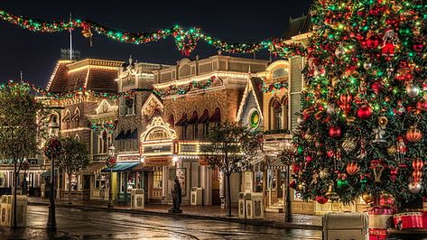 tree, disneyland, evening, downtown, tourist attraction, france HD wallpaper Christmas Wallpaper Ipad, Christmas Wallpaper Hd, Christmas Desktop Wallpaper, Desktop Wallpaper Macbook, Disneyland Christmas, Christmas Tree Wallpaper, Christmas Desktop, Wallpapers Ipad, Wallpaper Computer