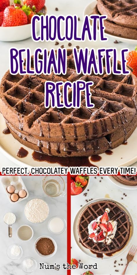 Dive into the world of Chocolate Belgian Waffles, where breakfast meets dessert! An easy recipe for crispy, fluffy, and utterly delicious chocolate waffles. #chocolatebelgianwaffles #chocolatechipbelgianwaffles #chocolatebelgianwafflerecipe #chocolatewaffles #chocolatewafflerecipe #chocolatewaffle #numstheword Easy Belgian Waffle Recipe, Chocolate Waffle Recipe, Belgian Waffle Recipe, Belgian Waffles Recipe, Chocolate Chip Waffles, Easy Waffle Recipe, Healthy Waffles, Chocolate Waffles, Waffle Recipe