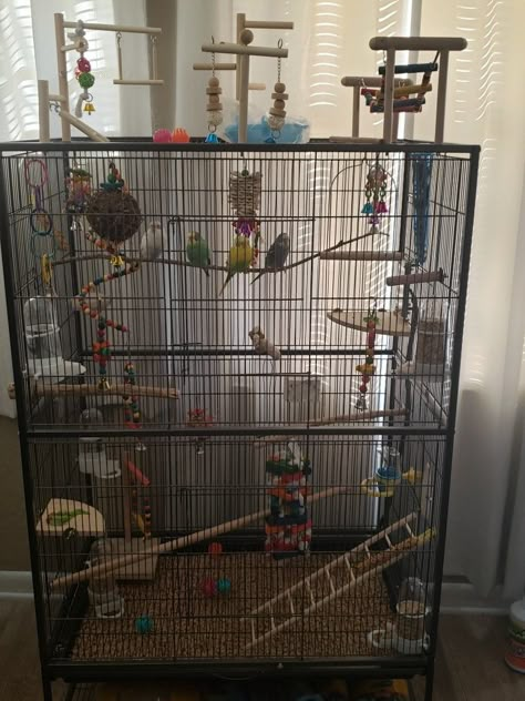 Cage For Birds Ideas, Cage Ideas For Birds, Diy Bird Cage Accessories, Pet Bird Cage Decor, Parakeet Setup, Budgies Cage Ideas, Bird Cage Set Up Ideas, Diy Parakeet Cage Ideas, Bird Cage Decoration Ideas