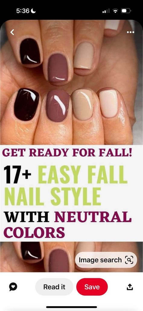 Easy Fall Nail Designs, Thanksgiving Nails Color, Fall Toe Nails, Fall Pedicure, Dip Nail Colors, Neutral Nail Color, Pedicure Colors, Toe Nail Color, Fall Manicure