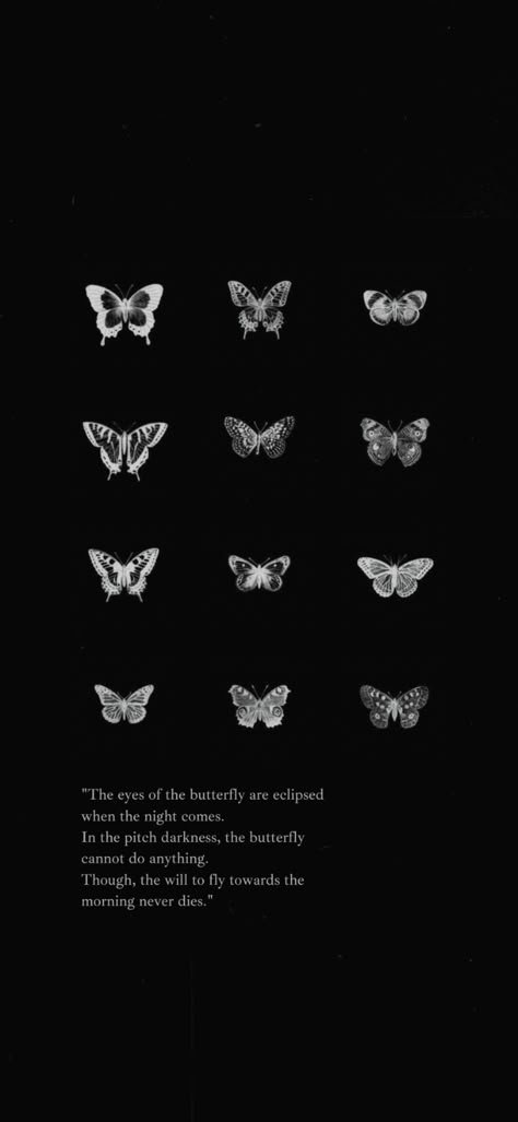 loona lockscreen wallpaper representative butterflies "The eyes of the butterfly are eclipsed when the night comes. In the pitch darkness, the butterfly cannot do anything. Though, the will to fly towards the morning never dies." 777 Butterfly Wallpaper, Dark Butterflies Wallpaper, Scary Butterfly Wallpaper, Black And White Butterfly Wallpaper Aesthetic, Subtle Lockscreen, Butterfly Dark Wallpaper, Dark Butterfly Wallpaper Aesthetic, Butterfly Lockscreen Aesthetic, Butterfly Black Wallpaper