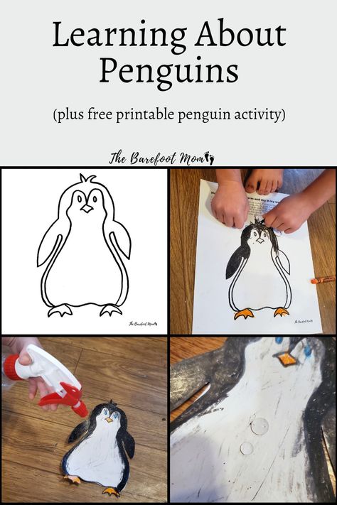 Activities and resources for learning all about penguins with your kids or students. Includes a free printable coloring activity that demonstrates how penguins stay warm and dry in cold Antarctic waters. Penguin Experiments For Kids, Animals In Winter Preschool Crafts, How Do Penguins Stay Dry Experiment, Penguin Science Experiment, Penguins Preschool Activities, Penguin Stem Activities, Penguin Activities For Kids, Penguin Experiment, Penguin Activities For Preschool