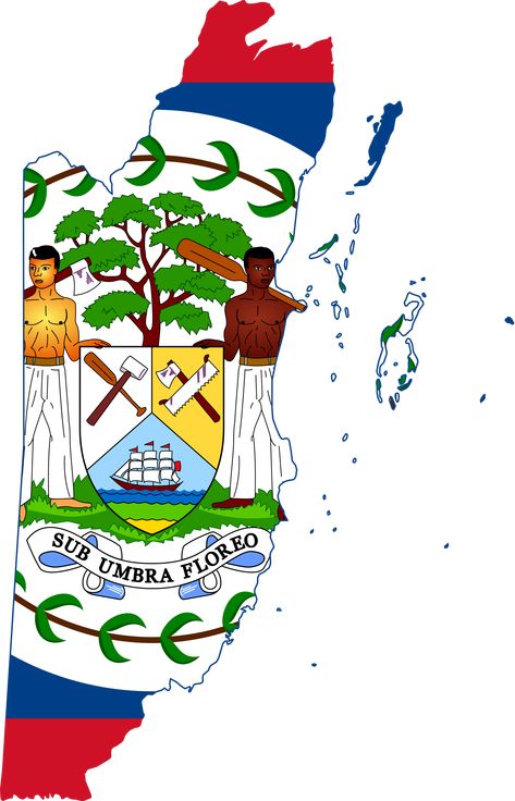 Flag-map of Belize Map Of Belize, Belize Food, Belize Flag, El Salvador Flag, Belize Beach, Belize Resorts, Cool Science Facts, Winter City, Flag Tattoo