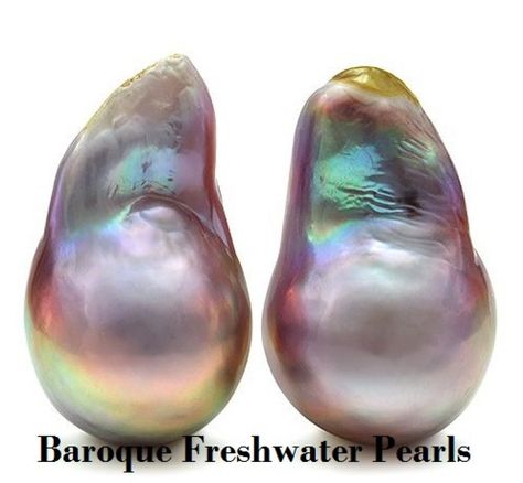 Freshwater vs Saltwater Pearls: What Is the Difference | JewelryJealousy Types Of Pearls, Saltwater Pearls, Loose Pearls, Rocks And Gems, Akoya Pearls, Tahitian Pearls, Precious Gems, Gems And Minerals, Crystals Minerals