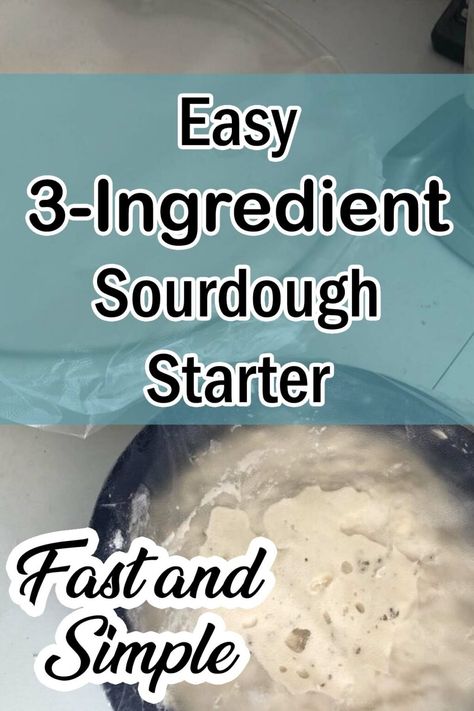 Easy Sourdough Starter Recipe – A Cake To Remember Sourdough Starter Recipe With Yeast, Recipe For Sourdough Starter, No Discard Sourdough Starter Recipe, Easy Sourdough Starter Recipe, Easy Sour Dough Starters, Making Sourdough Starter, Beginner Sourdough Recipe, Sour Dough Starter Recipe How To Make, Sourdough Bread Without Starter