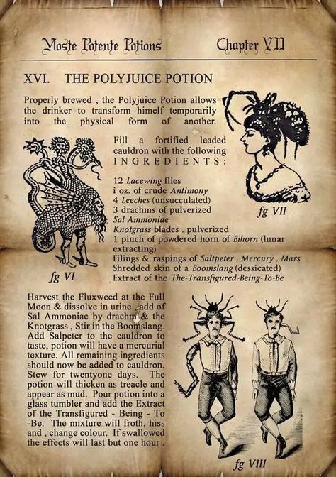 Poster Harry Potter, Harry Potter Journal, Imprimibles Harry Potter, Art Harry Potter, Polyjuice Potion, Harry Potter Printables, Harry Potter Potions, Harry Potter Poster, Template Brochure