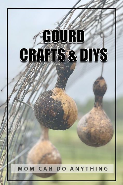 Have you ever done a craft or DIY with a gourd? Did you know there are so many different ideas? #momcandoanything #gourds #gourdcrafts #gourddiys #diyhomedecor #lanters #birdhouses #christmasornaments #bowls #homedecor #easycrafts #gourd #ideas Long Neck Gourds Painted, Ideas For Gourds, Gourd Diy Craft Ideas, Things To Do With Gourds, Gords Crafts Diy, Birdhouse Gourds Ideas Diy, Gourds Crafts Projects Ideas, Pumpkin Gourds Fall Decorating, Gourd Lights Diy